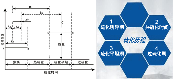 简述橡胶的硫化历程