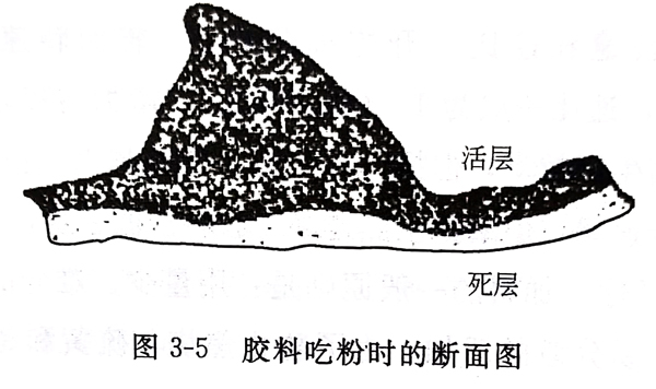 <b>开炼机混炼工艺特点和过程是什么 ?</b>